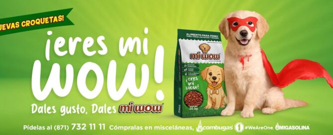Grupo SIMSA presenta "Mi Wow" para los consentidos del hogar