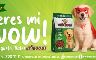 Grupo SIMSA presenta "Mi Wow"