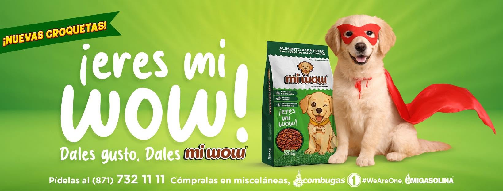Grupo SIMSA presenta “Mi Wow”